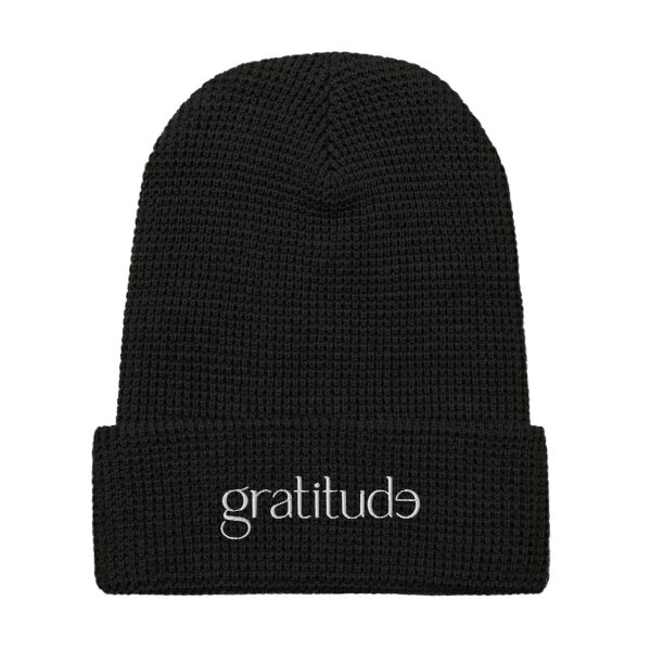 gratitude Waffle Beanie
